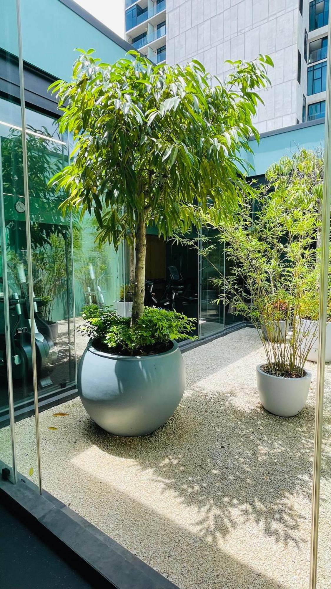 Cozy Apartment With Terrace, Sj Cosmopolitan Tower #402 San Jose  Bagian luar foto